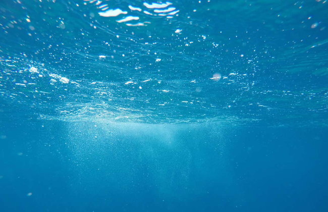 Snorkel en Funchal - Foto 4