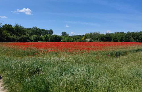 BASTIDE Neissoun - Foto 11