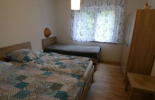 Weisses Huhn von Moschendorf - Photo 12