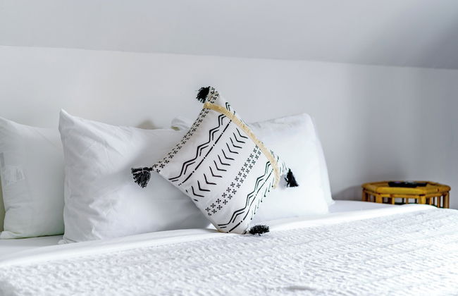 The Urbn Jungle - Foto 2