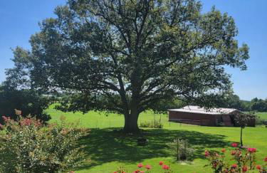 Shoal Creek Retreat - Spacious, Views, Relaxing - Foto 30