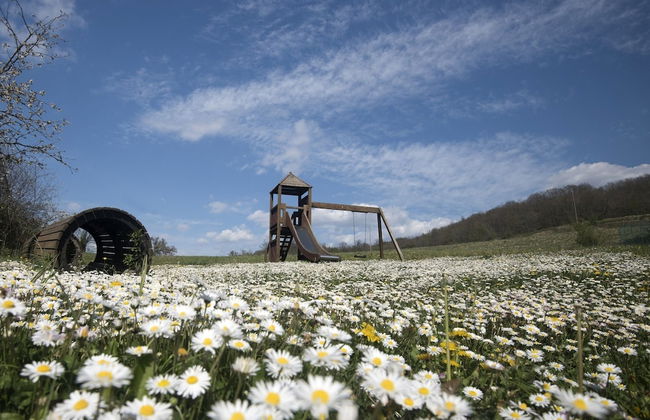Bio Agriturismo La Cerqua - Foto 11