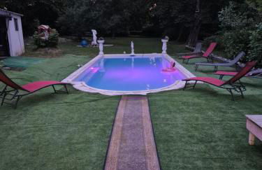 Château / Manoir de Saint-Gaudens - Foto 15