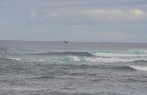 Mokulē'ia Beach Houses at Owen's Retreat - Foto 61