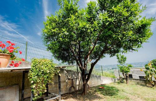 La Casa delle Orchidee - Foto 35