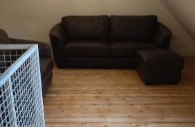 Eulen- & Altstadtnest - Foto 16