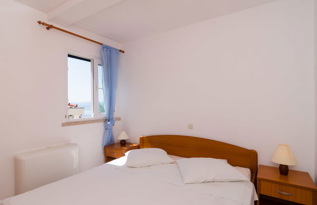 Plavac Mali - Foto 12