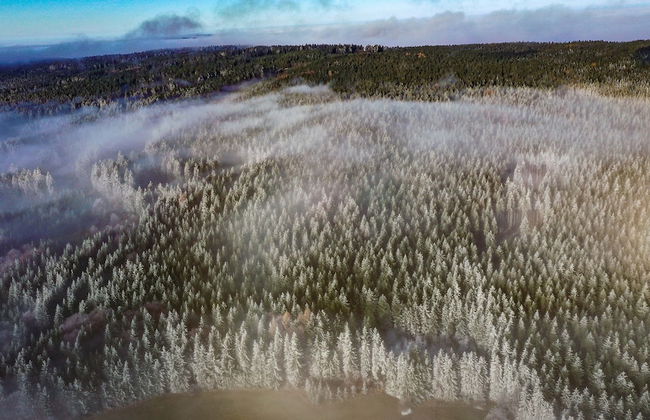 Chalupa na Fryšavě - Foto 20