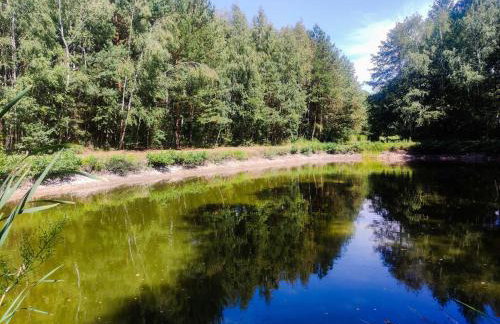 Leśna Osada Szegdy - Foto 23