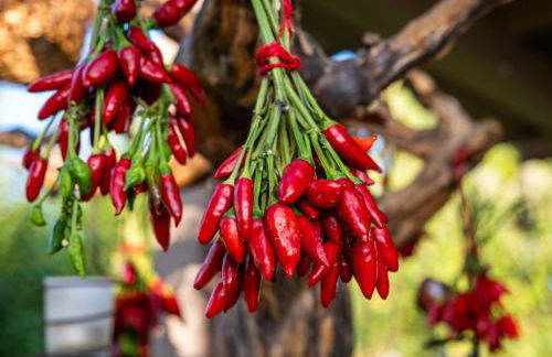 Cà Nostra B&B Home Restaurant - Photo 53