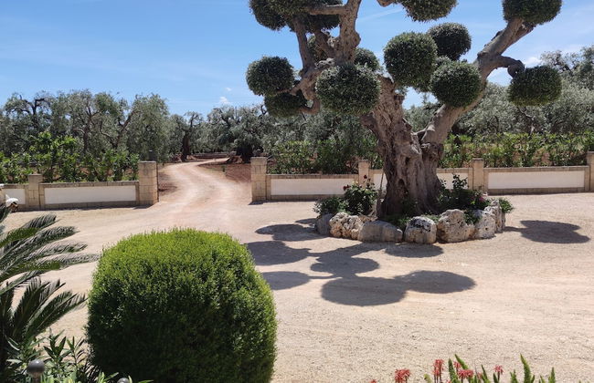 Masseria La Foggia - Foto 32