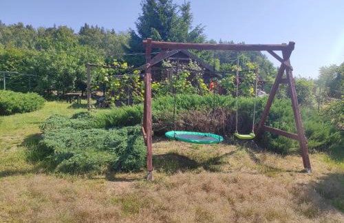 Biały Dzik Uszyszek - Foto 15