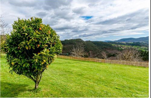 Casa Hortensia - Foto 14