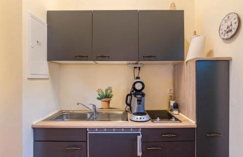 SCHUSTERjunge Aparthotel I Zentral I Studio Apartments I Küche & Bad I Parkplatz - Foto 48