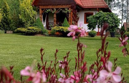 Siedlisko Gruszki Puszcza Białowieska - Foto 27