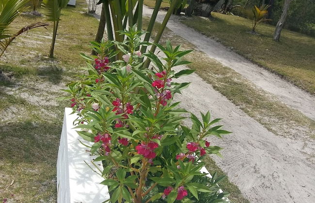 The Sanctuary - Foto 7