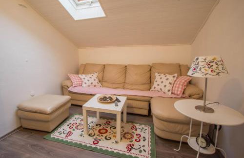 Apartment Šoša - Photo 26