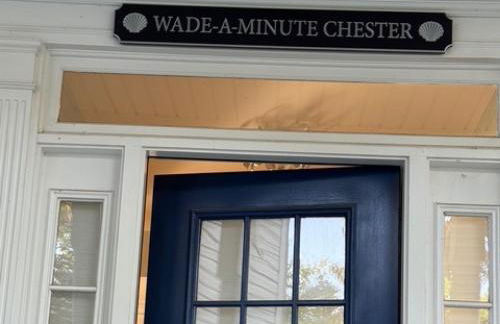 Wade a Minute Chester - Foto 29