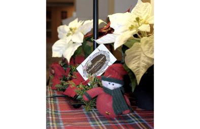 Il Rosciolo Sulla Francigena - Foto 72