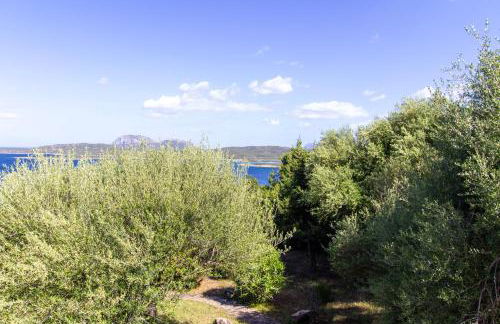 Welcomely - Porto Rotondo sul Mare - Photo 48