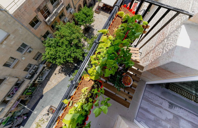LikeHome Jerusalem - Photo 27