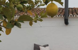 Casa das Correias - Foto 33