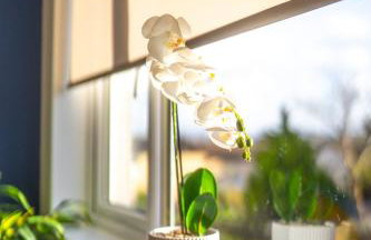 Camps Rigg Place - Foto 21