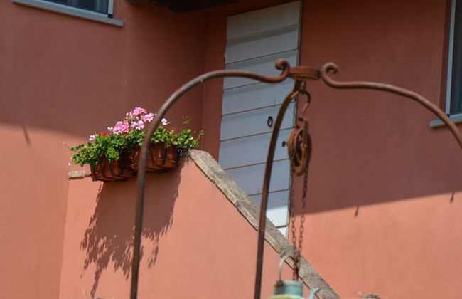 Podere Benintendi - Photo 49