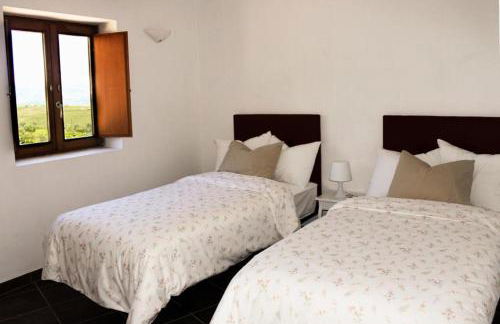 Sobreiro's Villa in Douro Valley - Photo 15