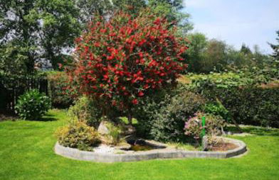 Apartamentos Rurales Villa del Sain Cudillero - Foto 129