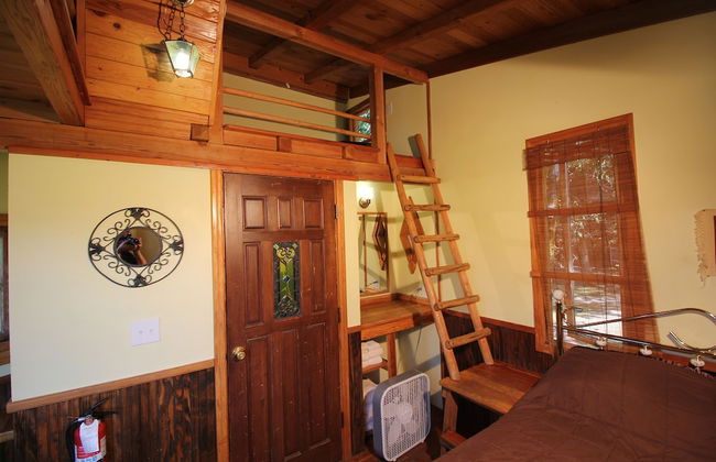 Out 'N' About Treehouse Treesort - Foto 42