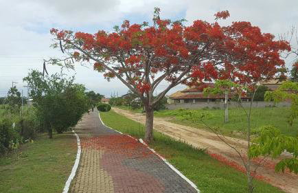 Recanto de Araruama - Foto 23