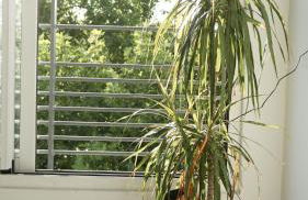 Le Standing, hyper centre T2 - Foto 20