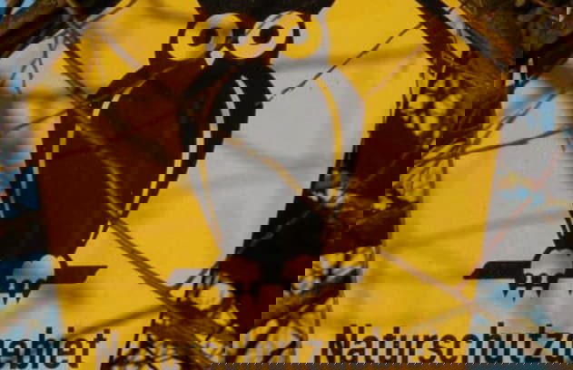 The Fischerhaus on Lake Malkwitzer See - Foto 29