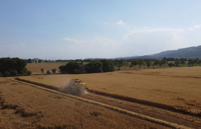 Vigneti Apartment With two Bedrooms and one Bathroom on the Second Floor Apartment 5 - Foto 34