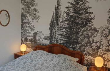 Appartement plein de charme - Centre Bar-Sur-Aube - Foto 16