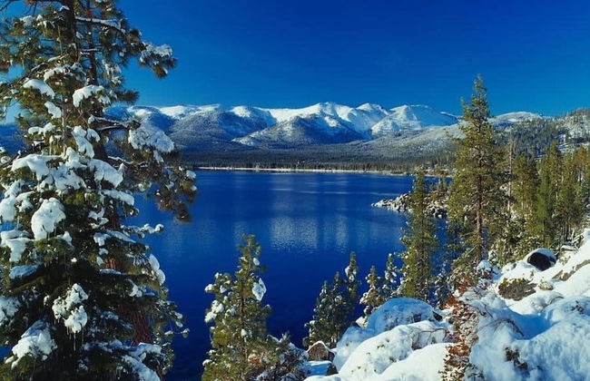 DT Reno - Modern Home Private Patio Workspace - Foto 36