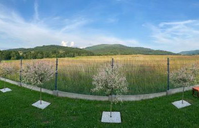 Stodoła 55 - Foto 78