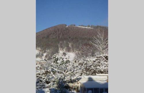 Garden Suburbs Cottage - Foto 13