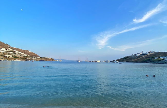 Mykonos Twins - Photo 59