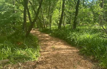 Murphys Law Inn 7 - Foto 23