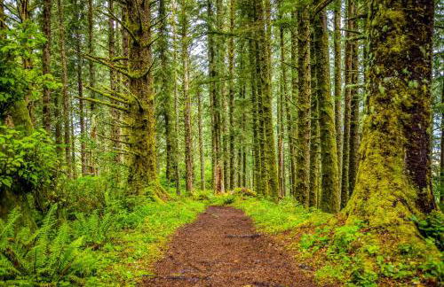 Captain Johns - Foto 56