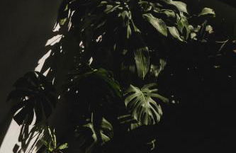 Chris&C Apartments - Foto 18