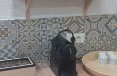 La PAUSE Salonaise "au coeur de la ville" - Foto 21