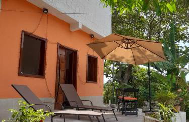 Abelha & Peixe Boi - Photo 28