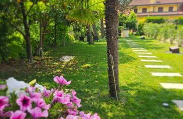 De Rerum Natura - Foto 36