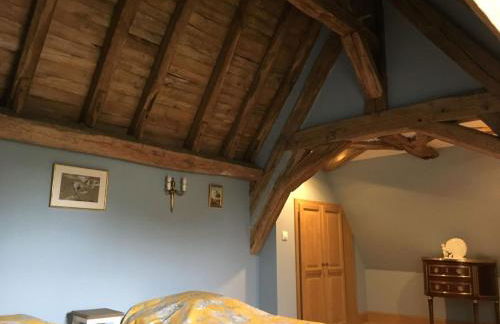 Le Petit Dauphin - Foto 12