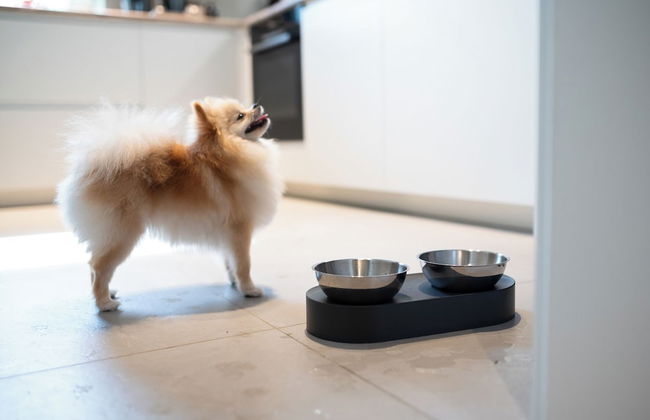 House 756 Mainz: Families, Friends & Business – Sauna, Parking, Near Messe & Airport - Foto 74