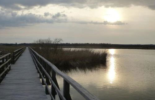 FeWo Wellfit - Foto 16