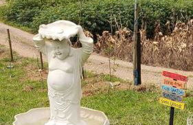 Sítio Vida - Photo 9